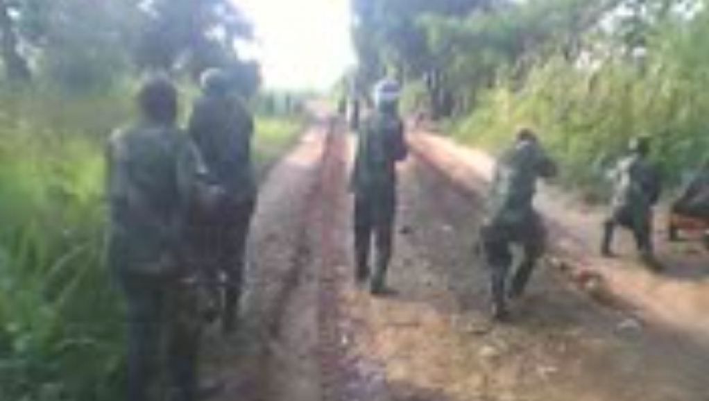 RDC: des ONG réclament une enquête internationale sur les violences meurtrières au Kasaï